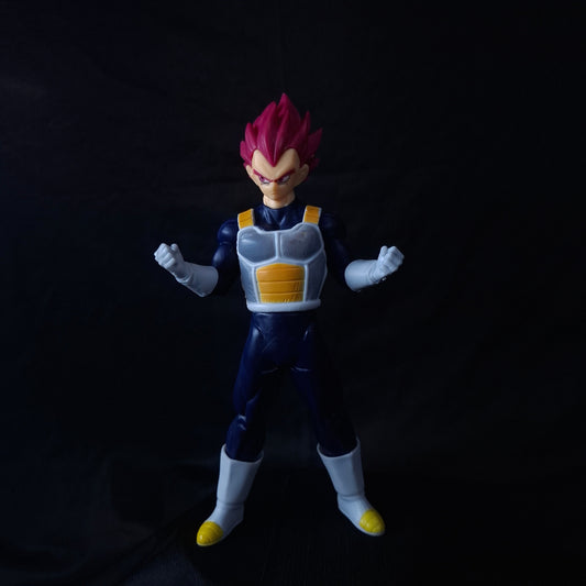 Dragon Ball Z Vegeta